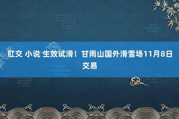 肛交 小说 生效试滑！甘雨山国外滑雪场11月8日交易