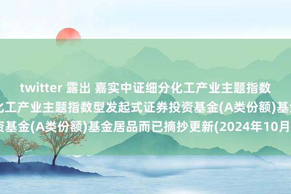 twitter 露出 嘉实中证细分化工产业主题指数发起式A: 嘉实中证细分化工产业主题指数型发起式证券投资基金(A类份额)基金居品而已摘抄更新(2024年10月28日)