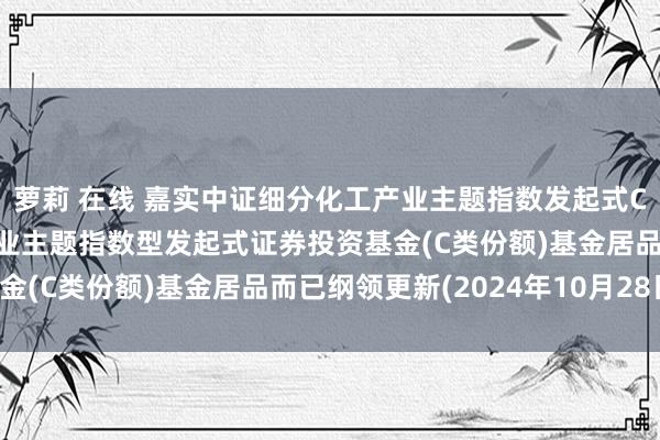 萝莉 在线 嘉实中证细分化工产业主题指数发起式C: 嘉实中证细分化工产业主题指数型发起式证券投资基金(C类份额)基金居品而已纲领更新(2024年10月28日)