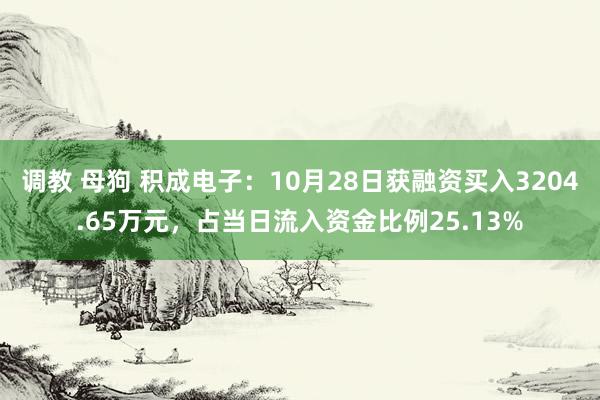 调教 母狗 积成电子：10月28日获融资买入3204.65万元，占当日流入资金比例25.13%