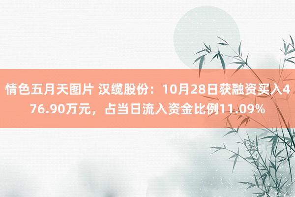 情色五月天图片 汉缆股份：10月28日获融资买入476.90万元，占当日流入资金比例11.09%