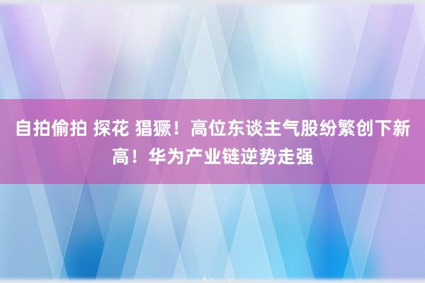 自拍偷拍 探花 猖獗！高位东谈主气股纷繁创下新高！华为产业链逆势走强