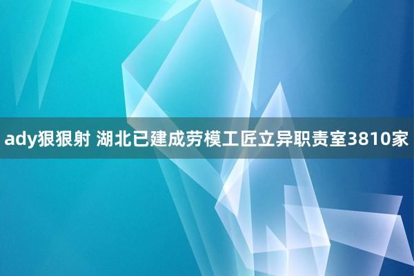 ady狠狠射 湖北已建成劳模工匠立异职责室3810家