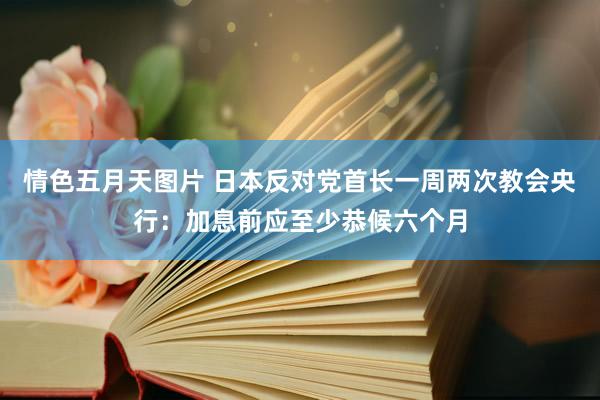 情色五月天图片 日本反对党首长一周两次教会央行：加息前应至少恭候六个月