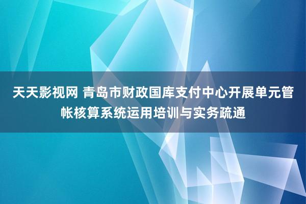 天天影视网 青岛市财政国库支付中心开展单元管帐核算系统运用培训与实务疏通