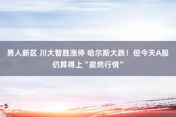 男人新区 川大智胜涨停 哈尔斯大跌！但今天A股仍算得上“寂然行情”