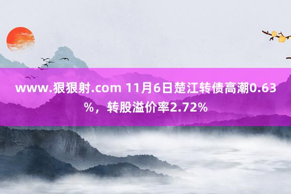 www.狠狠射.com 11月6日楚江转债高潮0.63%，转股溢价率2.72%