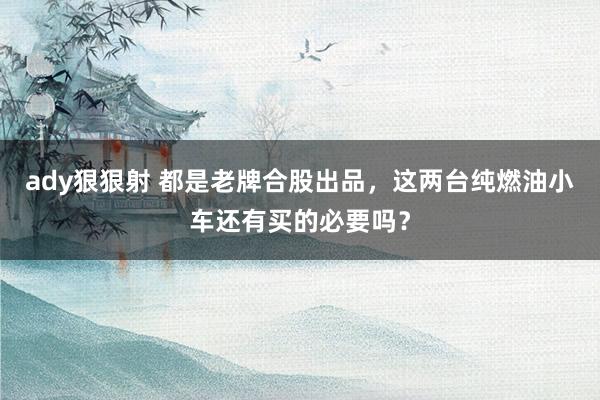 ady狠狠射 都是老牌合股出品，这两台纯燃油小车还有买的必要吗？