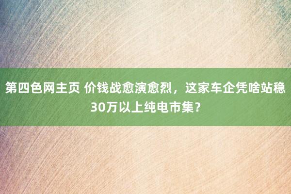 第四色网主页 价钱战愈演愈烈，这家车企凭啥站稳30万以上纯电市集？