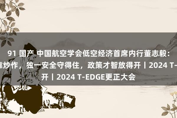 91 国产 中国航空学会低空经济首席内行董志毅：低空经济不成靠炒作，独一安全守得住，政策才智放得开丨2024 T-EDGE更正大会