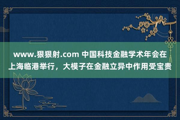 www.狠狠射.com 中国科技金融学术年会在上海临港举行，大模子在金融立异中作用受宝贵