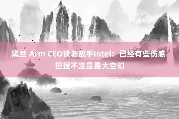 黑丝 Arm CEO谈老敌手Intel：已经有些伤感 扭捏不定是最大空幻