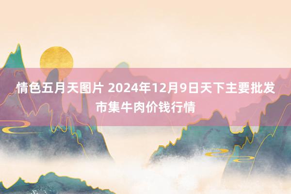 情色五月天图片 2024年12月9日天下主要批发市集牛肉价钱行情