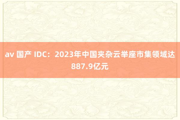 av 国产 IDC：2023年中国夹杂云举座市集领域达887.9亿元