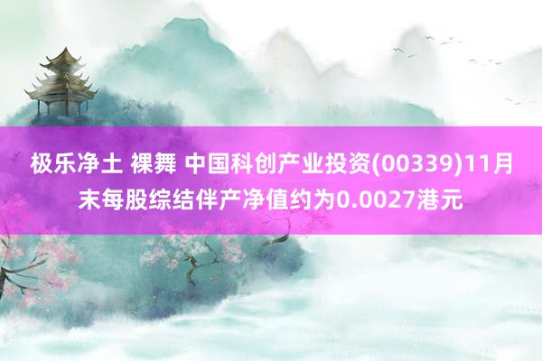 极乐净土 裸舞 中国科创产业投资(00339)11月末每股综结伴产净值约为0.0027港元