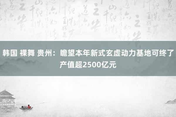 韩国 裸舞 贵州：瞻望本年新式玄虚动力基地可终了产值超2500亿元