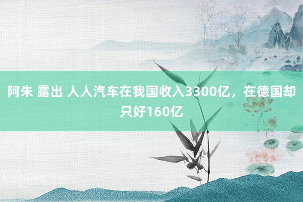 阿朱 露出 人人汽车在我国收入3300亿，在德国却只好160亿