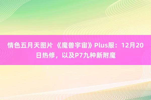 情色五月天图片 《魔兽宇宙》Plus服：12月20日热修，以及P7九种新附魔