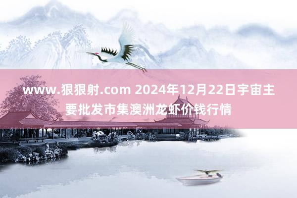 www.狠狠射.com 2024年12月22日宇宙主要批发市集澳洲龙虾价钱行情