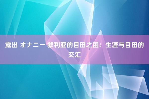 露出 オナニー 叙利亚的目田之困：生涯与目田的交汇