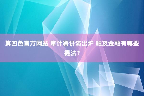 第四色官方网站 审计署讲演出炉 触及金融有哪些提法？