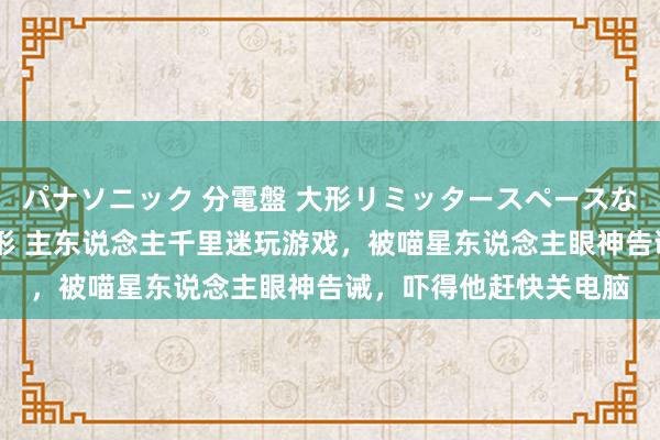 パナソニック 分電盤 大形リミッタースペースなし 露出・半埋込両用形 主东说念主千里迷玩游戏，被喵星东说念主眼神告诫，吓得他赶快关电脑