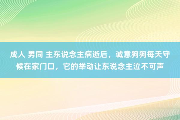 成人 男同 主东说念主病逝后，诚意狗狗每天守候在家门口，它的举动让东说念主泣不可声