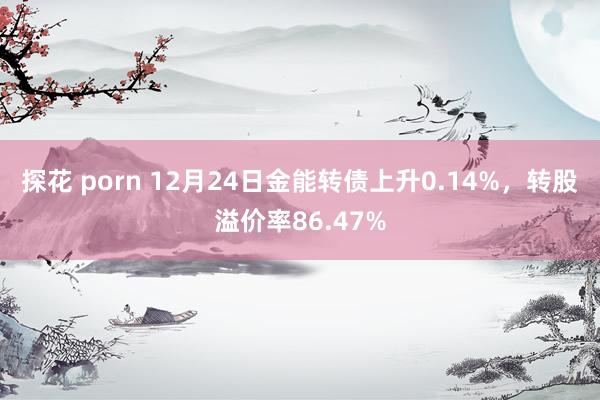 探花 porn 12月24日金能转债上升0.14%，转股溢价率86.47%