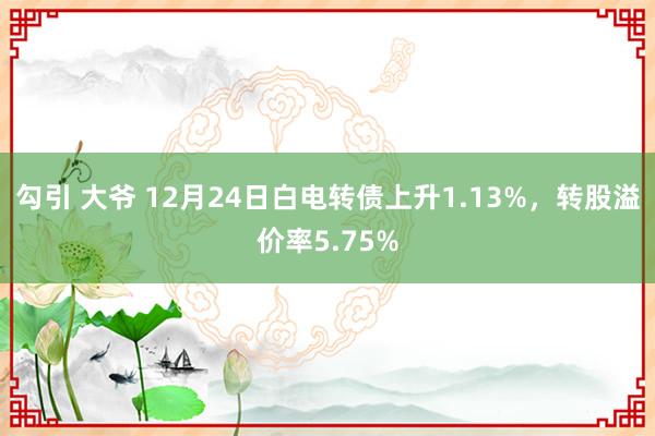 勾引 大爷 12月24日白电转债上升1.13%，转股溢价率5.75%