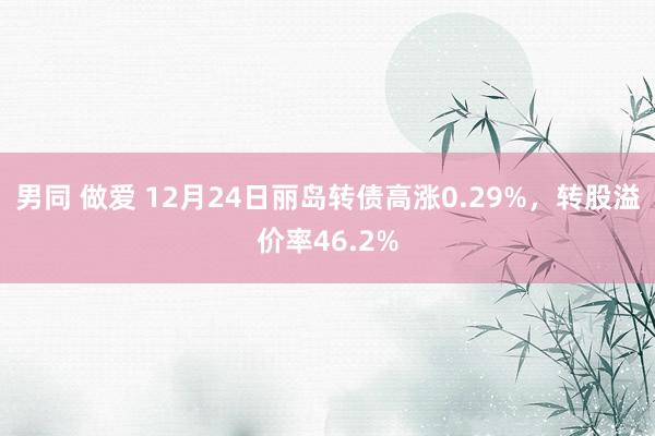 男同 做爱 12月24日丽岛转债高涨0.29%，转股溢价率46.2%