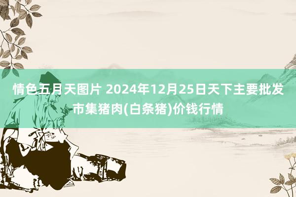 情色五月天图片 2024年12月25日天下主要批发市集猪肉(白条猪)价钱行情