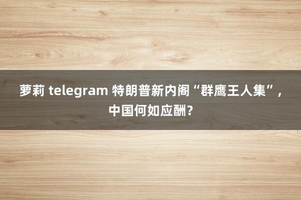 萝莉 telegram 特朗普新内阁“群鹰王人集”，中国何如应酬？