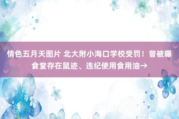 情色五月天图片 北大附小海口学校受罚！曾被曝食堂存在鼠迹、违纪使用食用油→