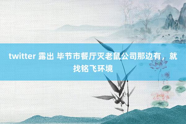 twitter 露出 毕节市餐厅灭老鼠公司那边有，就找铭飞环境