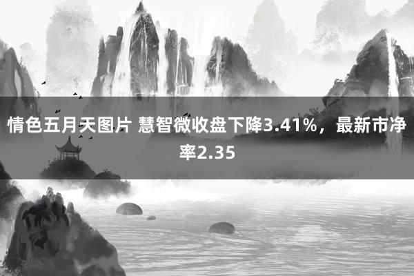 情色五月天图片 慧智微收盘下降3.41%，最新市净率2.35