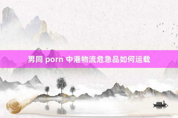 男同 porn 中港物流危急品如何运载