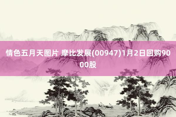 情色五月天图片 摩比发展(00947)1月2日回购9000股