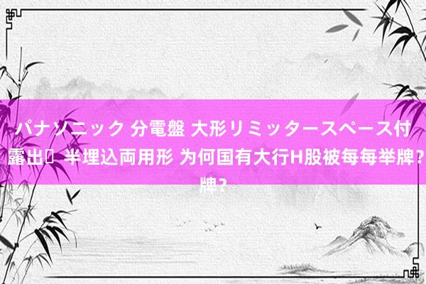 パナソニック 分電盤 大形リミッタースペース付 露出・半埋込両用形 为何国有大行H股被每每举牌？