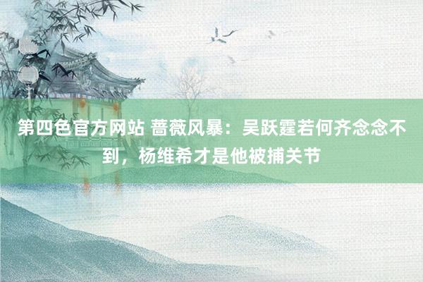 第四色官方网站 蔷薇风暴：吴跃霆若何齐念念不到，杨维希才是他被捕关节