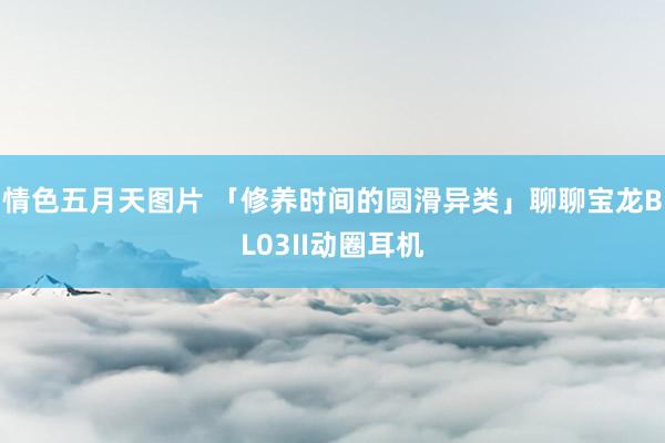 情色五月天图片 「修养时间的圆滑异类」聊聊宝龙BL03II动圈耳机