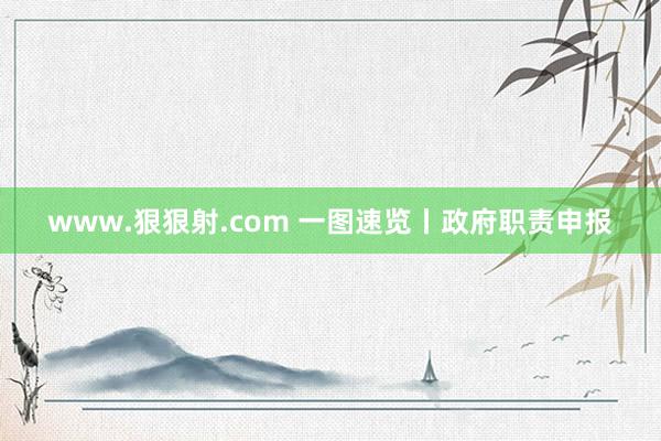 www.狠狠射.com 一图速览丨政府职责申报