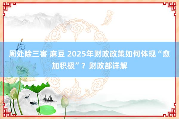 周处除三害 麻豆 2025年财政政策如何体现“愈加积极”？财政部详解