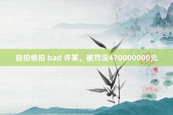 自拍偷拍 bad 许某，被罚没470000000元