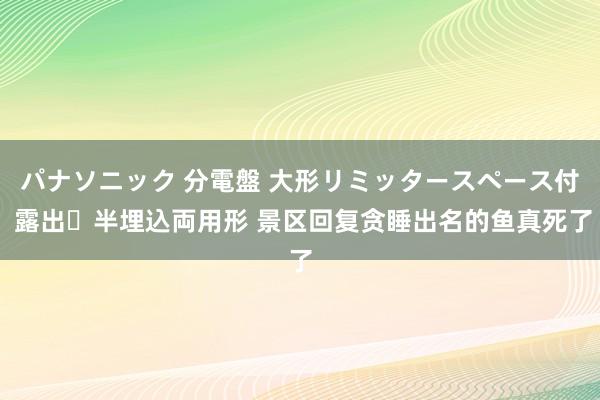 パナソニック 分電盤 大形リミッタースペース付 露出・半埋込両用形 景区回复贪睡出名的鱼真死了