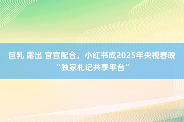 巨乳 露出 官宣配合，小红书成2025年央视春晚“独家札记共享平台”