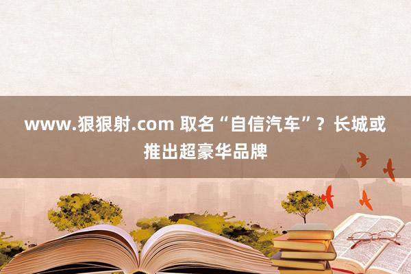 www.狠狠射.com 取名“自信汽车”？长城或推出超豪华品牌