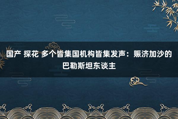 国产 探花 多个皆集国机构皆集发声：赈济加沙的巴勒斯坦东谈主